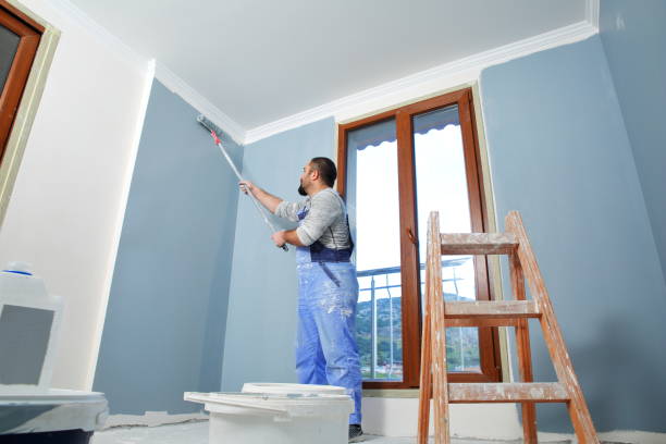 Professional Mold Removal in Waterville, OH