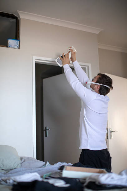 Best Comprehensive Air Testing for Mold Contaminants  in Waterville, OH