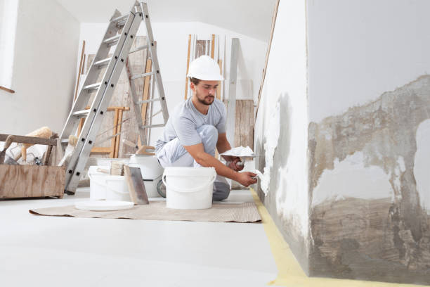Best Emergency Mold Remediation  in Waterville, OH