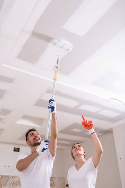 Mold Removal for HVAC Installations in Waterville, OH