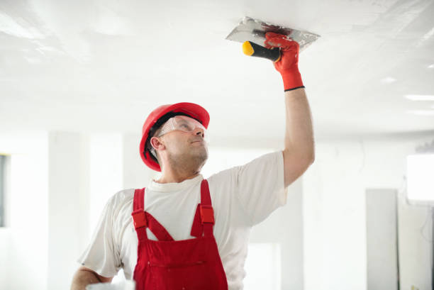 Best Mold Documentation for Insurance Claims  in Waterville, OH