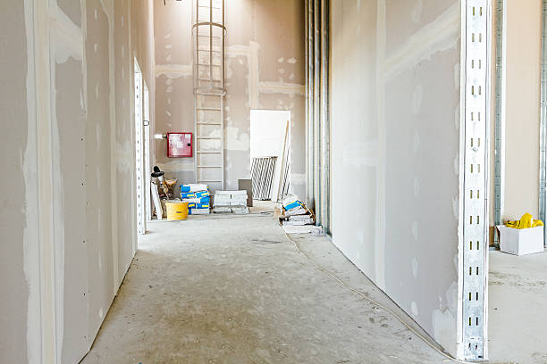 Best Airborne Mold Testing  in Waterville, OH